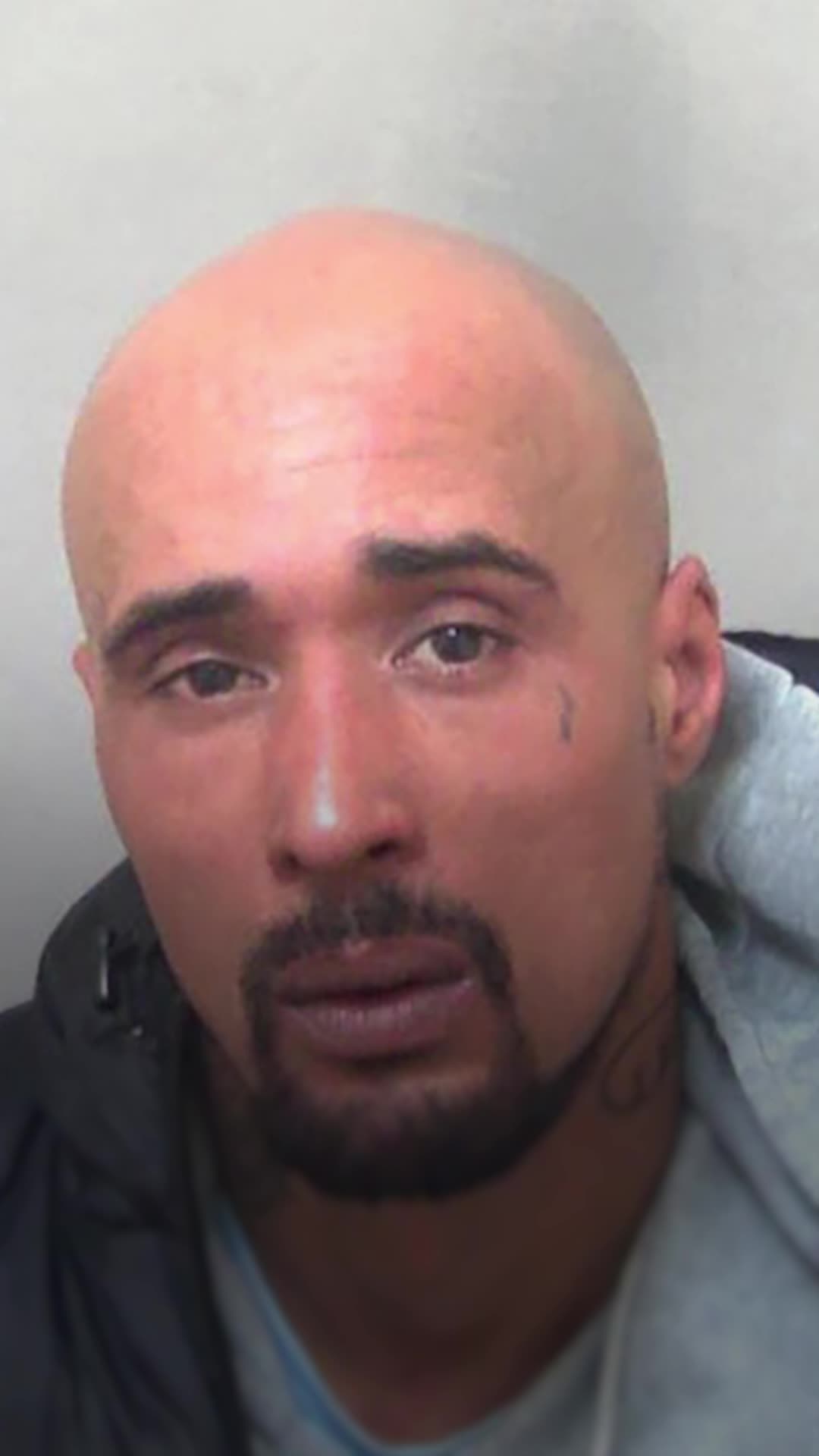 Man who owned XL bully dog that fatally mauled woman jailed for 10 years