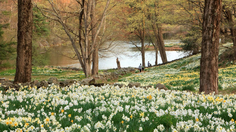 5 friendly Connecticut towns that are overflowing with New England charm