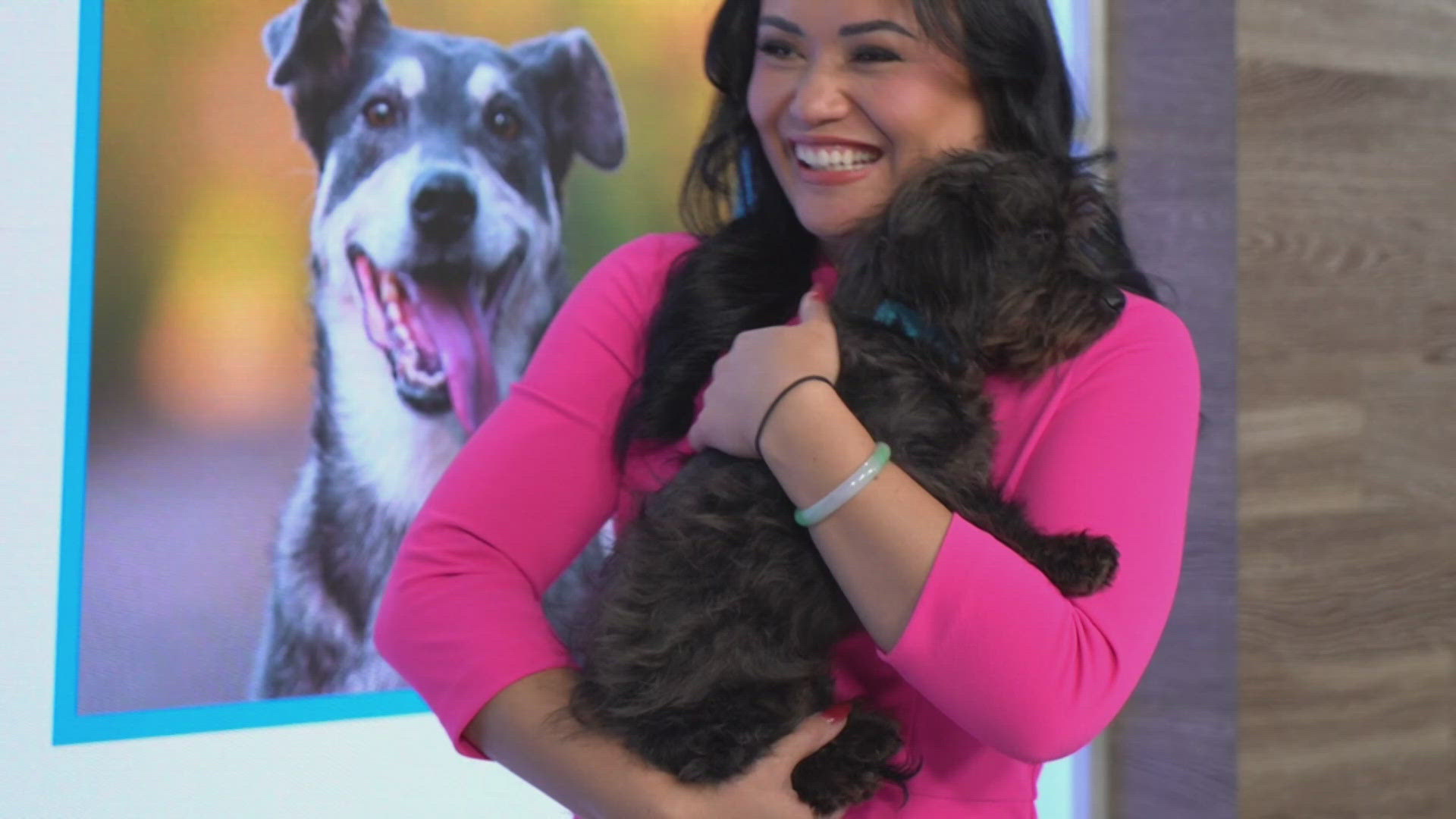 Pick of the litter: Meet Violet and Valerie!