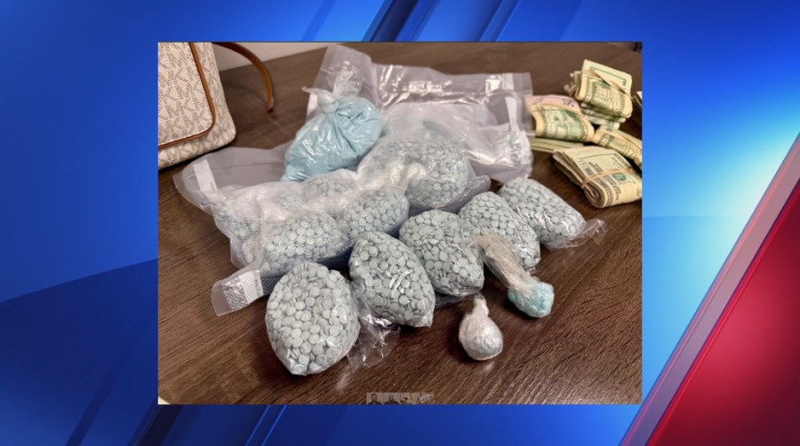 More than 11,000 fentanyl pills uncovered in major drug bust, two arrested
