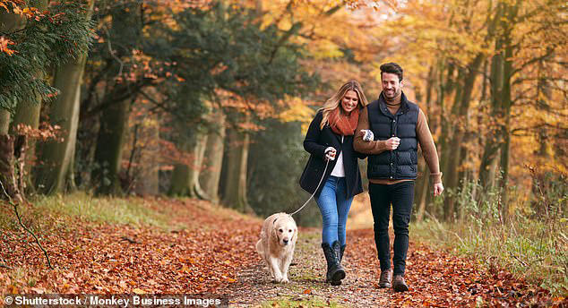 The simple measure that can predict your lifespan better than invasive ...