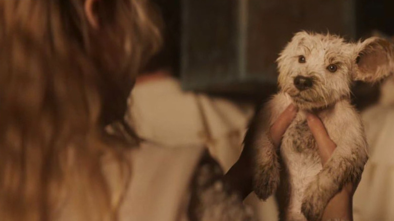 Supergirl trailer: Milly Alcock goes full John Wick on James Gunn