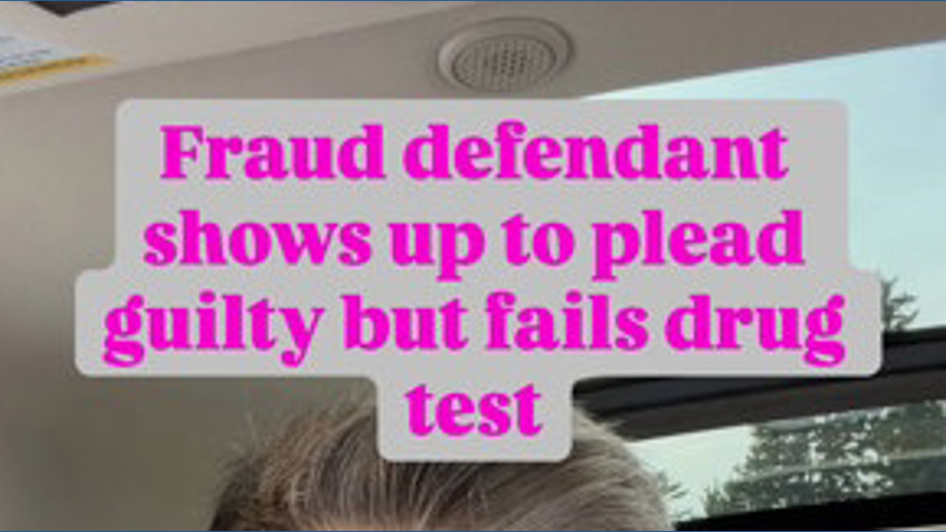 Fraud defendant shows up to plead guilty but is arrested after failing ...