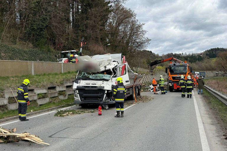 Bäume stürzten von Böschung und zertrümmerten Lkw-Kabine