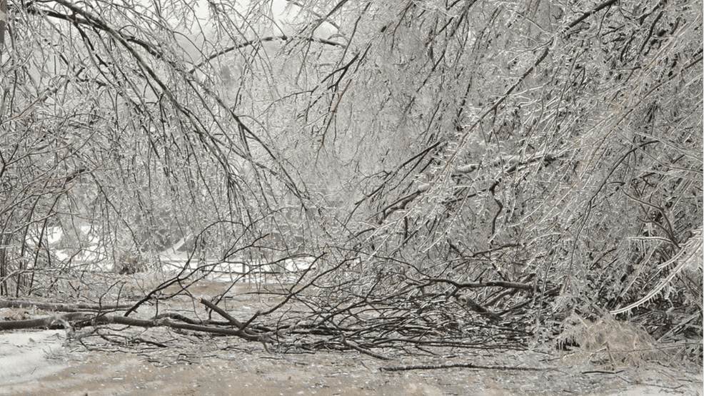 3,800 miles of lines iced over: One year after ice storm, utilities ...