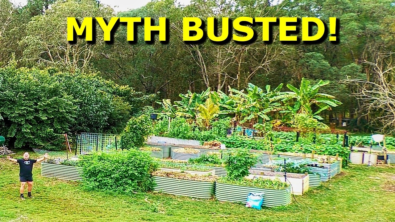 Can you grow fruit & veggies near gum trees? My surprising results!