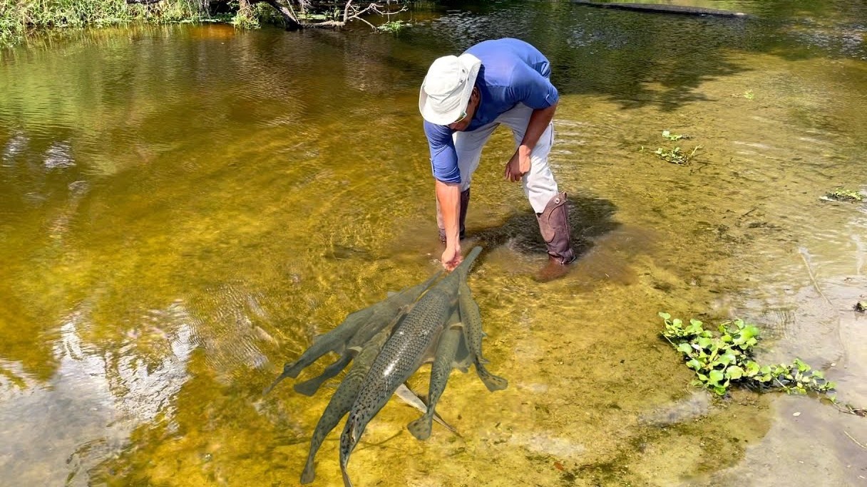 This ranch was underwater and monster fish were left behind
