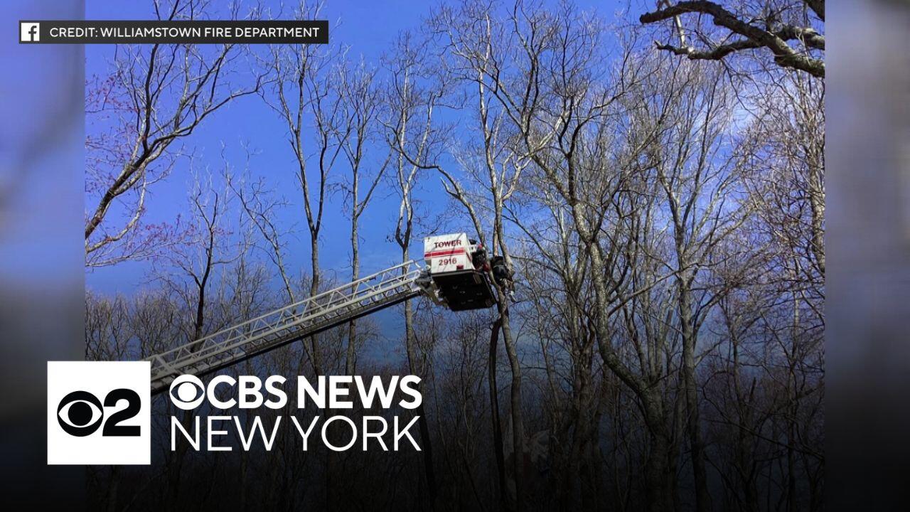 Parachuter rescued from tree in Gloucester County, NJ<br>