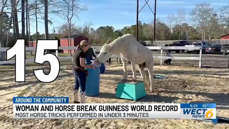 Watch: NC horse performs record-breaking 38 tricks in 3 minutes