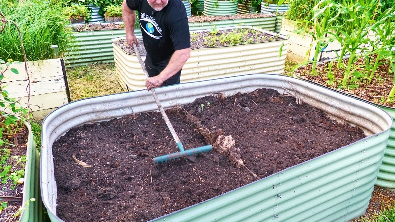 Reviving a sunken raised bed: Compost, mulch & rosella planting update!