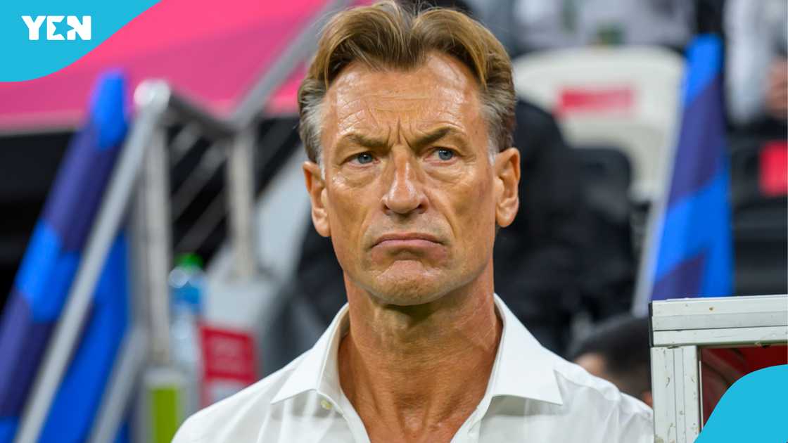Herve Renard resigns as Saudi Arabia head coach as Ghana FA monitor ...