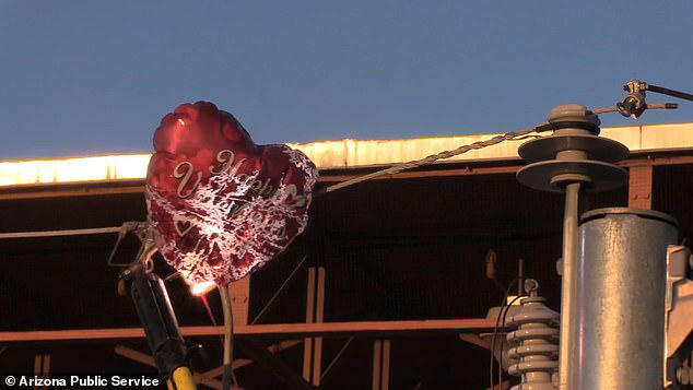 Thousands left without power after foil balloons floated away from ...