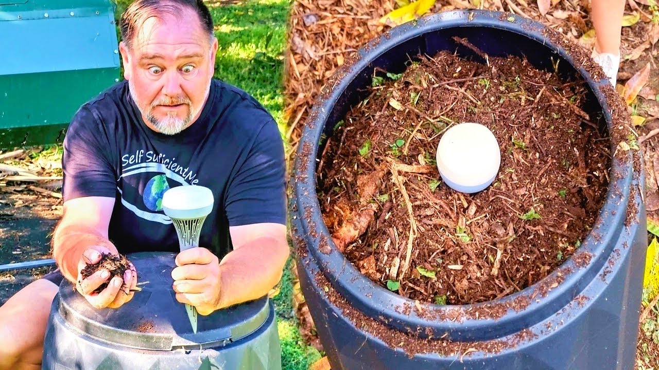 Smart composting made easy: How Monty transforms organic waste into ...