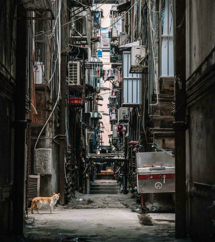 Something Very Dystopian About This: 82 Pictures Of ‘Urban Hell’