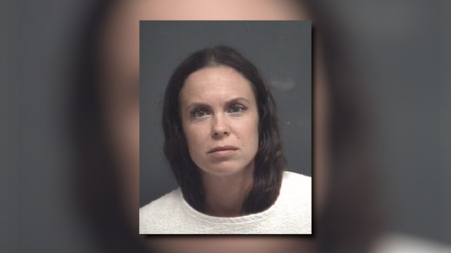 Woman pleads guilty to driving drunk through deadly crash scene