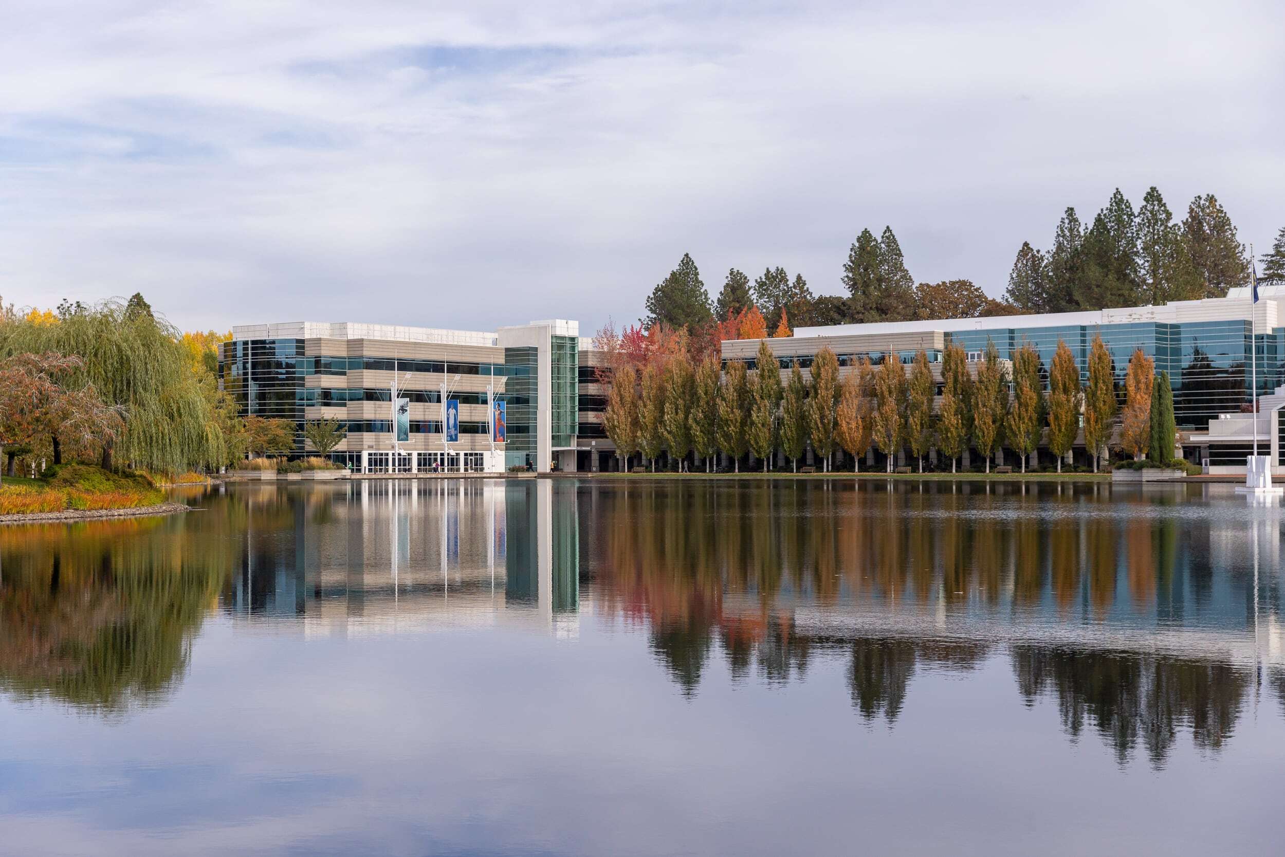 Nike sued over data breach, allegedly exposed credit card information