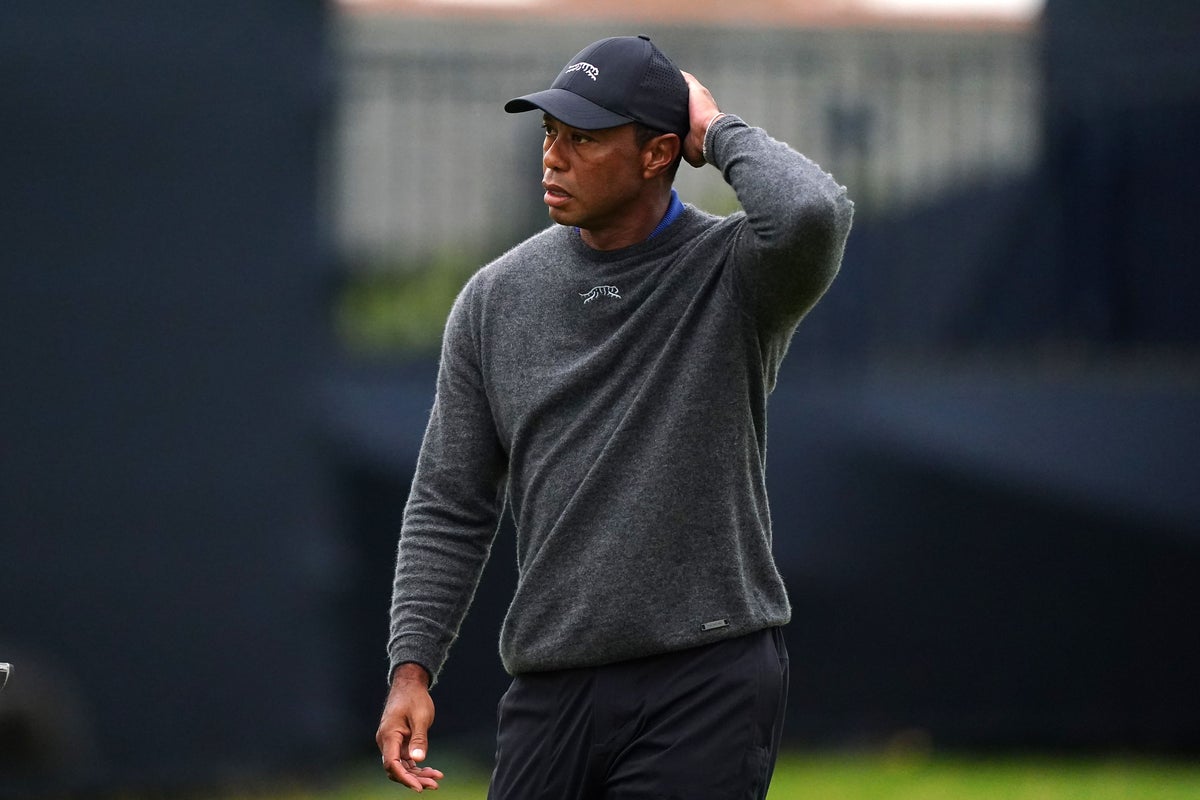Tiger Woods to seek treatment after pleading not guilty to DUI charge<br>