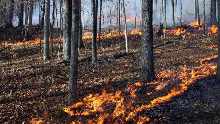 Multiple fire units battle large fire in White Hall