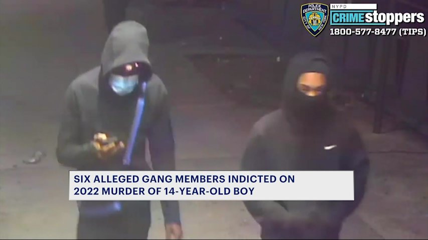 6 alleged gang members indicted, accused of killing 14-year-old with ...