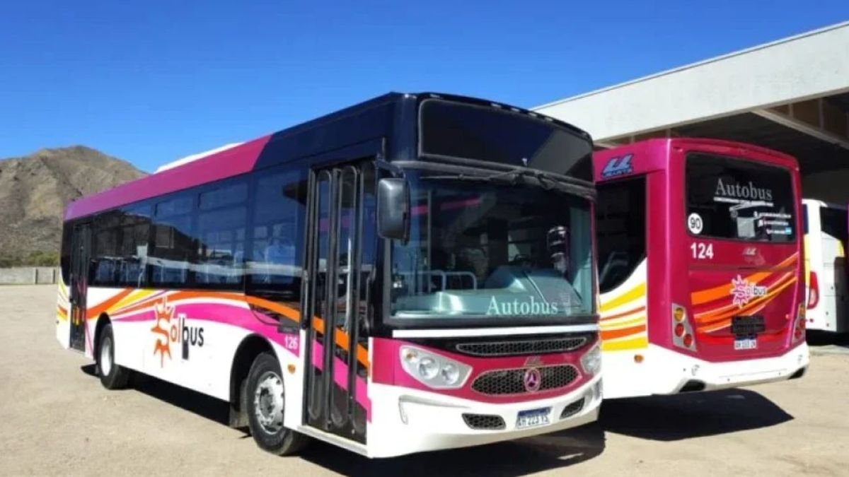 Transporte en Córdoba: todo lo que hay que saber de los nuevos servicios