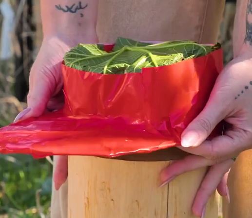 Camp like a pro! Clever hacks for easy camping trips