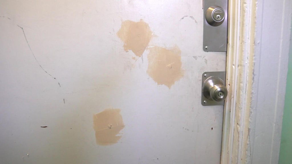 Woman says Boston police shot through closed apartment door into son's bedroom: 