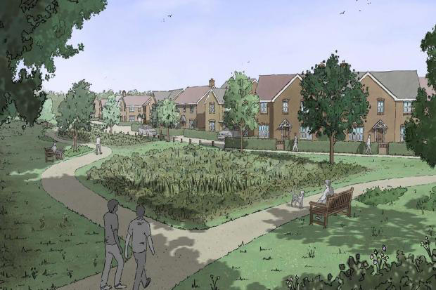 Objections raised at ‘fat cat builder’ up to 190-home Hoe Lane plans