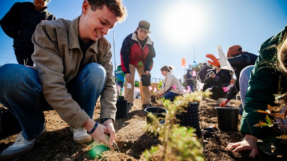 Watch it grow: Central Texas’ first tiny forest takes root at St ...