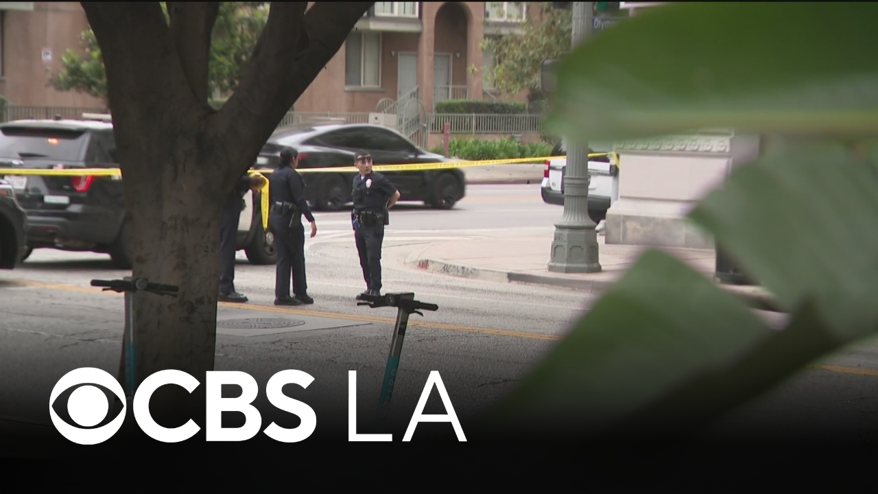 Man arrested for downtown Los Angeles stabbing also wanted for 2025 ...