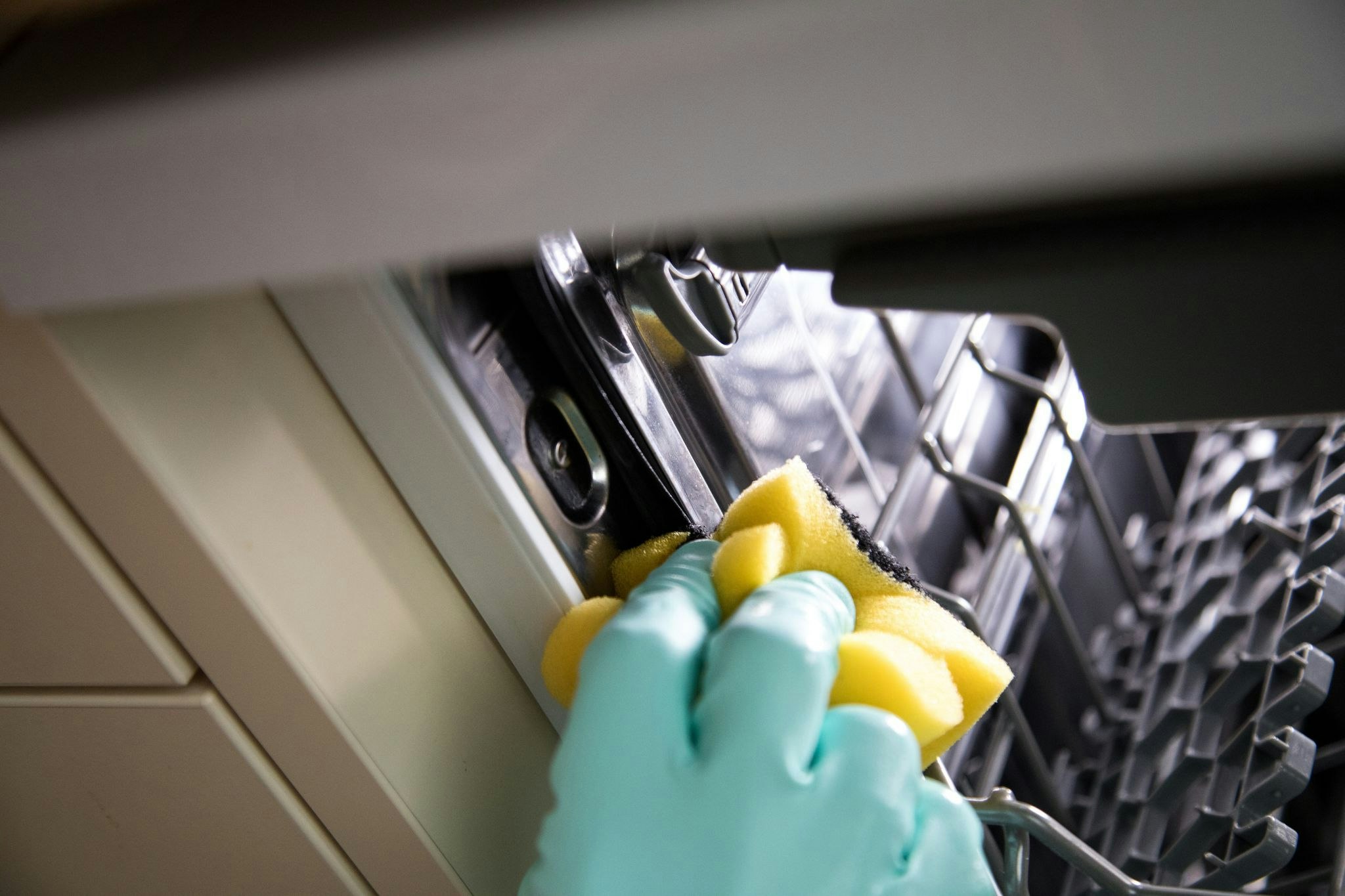Splmaschine Mit Zitronensure Reinigen