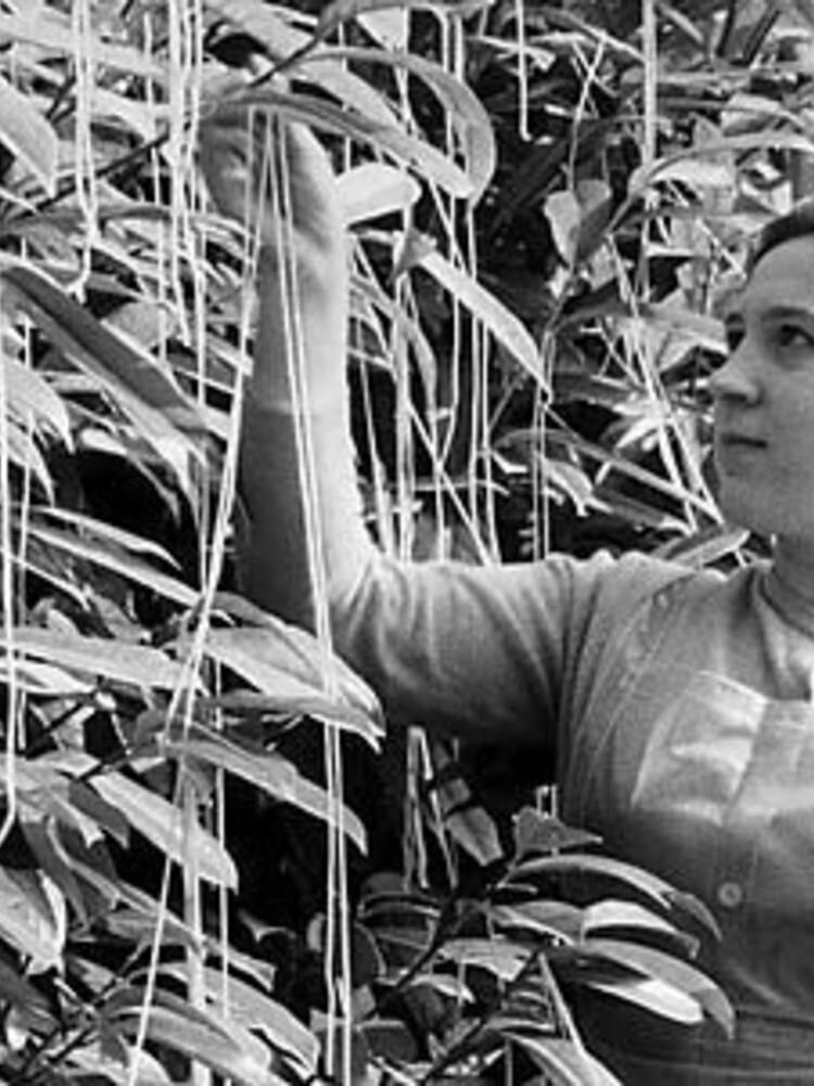 Pesce d’aprile e fake news: guida per non cadere nel tranello