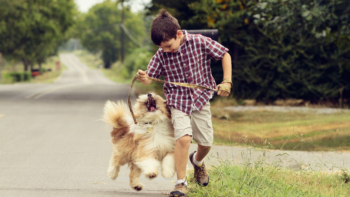 Niños y perros: claves para lograr un compromiso real en su cuidado ...