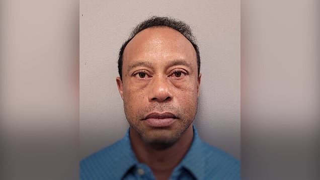 Tiger Woods to seek treatment after pleading not guilty to DUI charge
