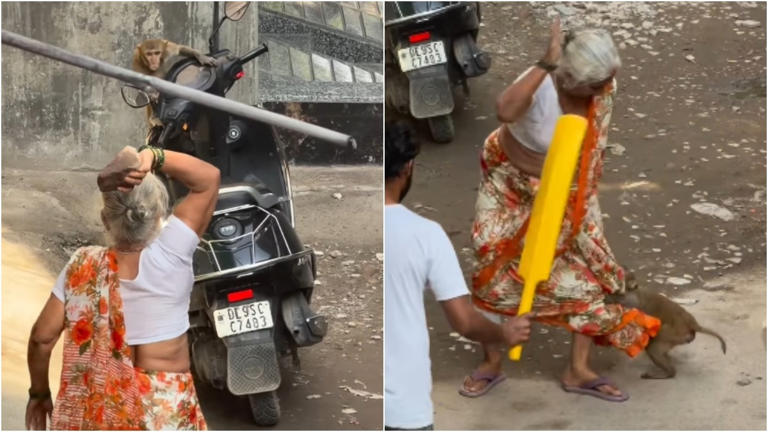 Monkey attacks elderly woman after she throws stone at it. Video goes viral