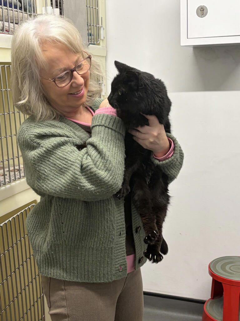 Cat reunited with owner 12 years after going missing