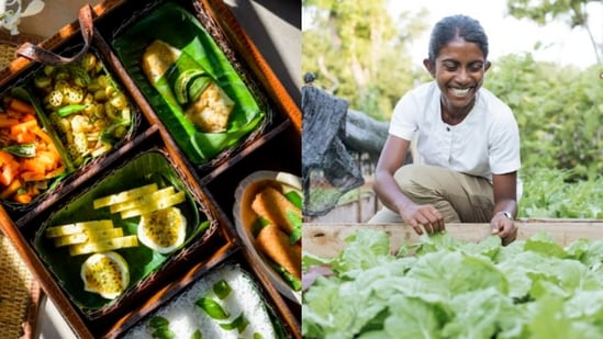 New plates, traditional ingredients: How chefs are reinventing roots ...