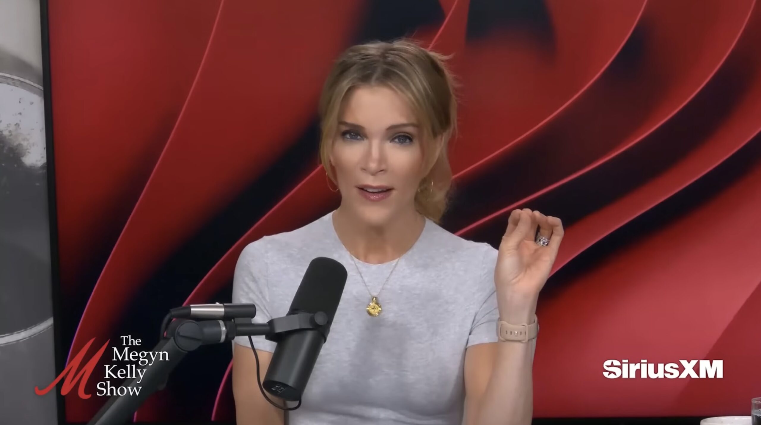 Megyn Kelly takes aim at ex-CNN anchor for writing about 'banging four men in a month'