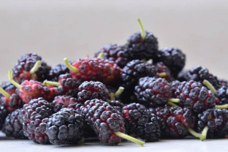 4 loại rau quả gi&agrave;u selen, c&agrave;ng ăn c&agrave;ng bổ gan