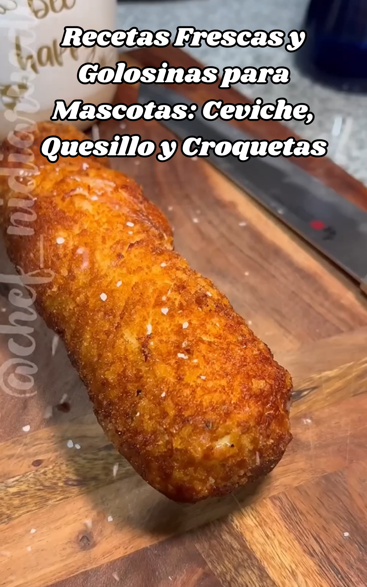 Recetas frescas y golosinas para mascotas: ceviche, quesillo y croquetas