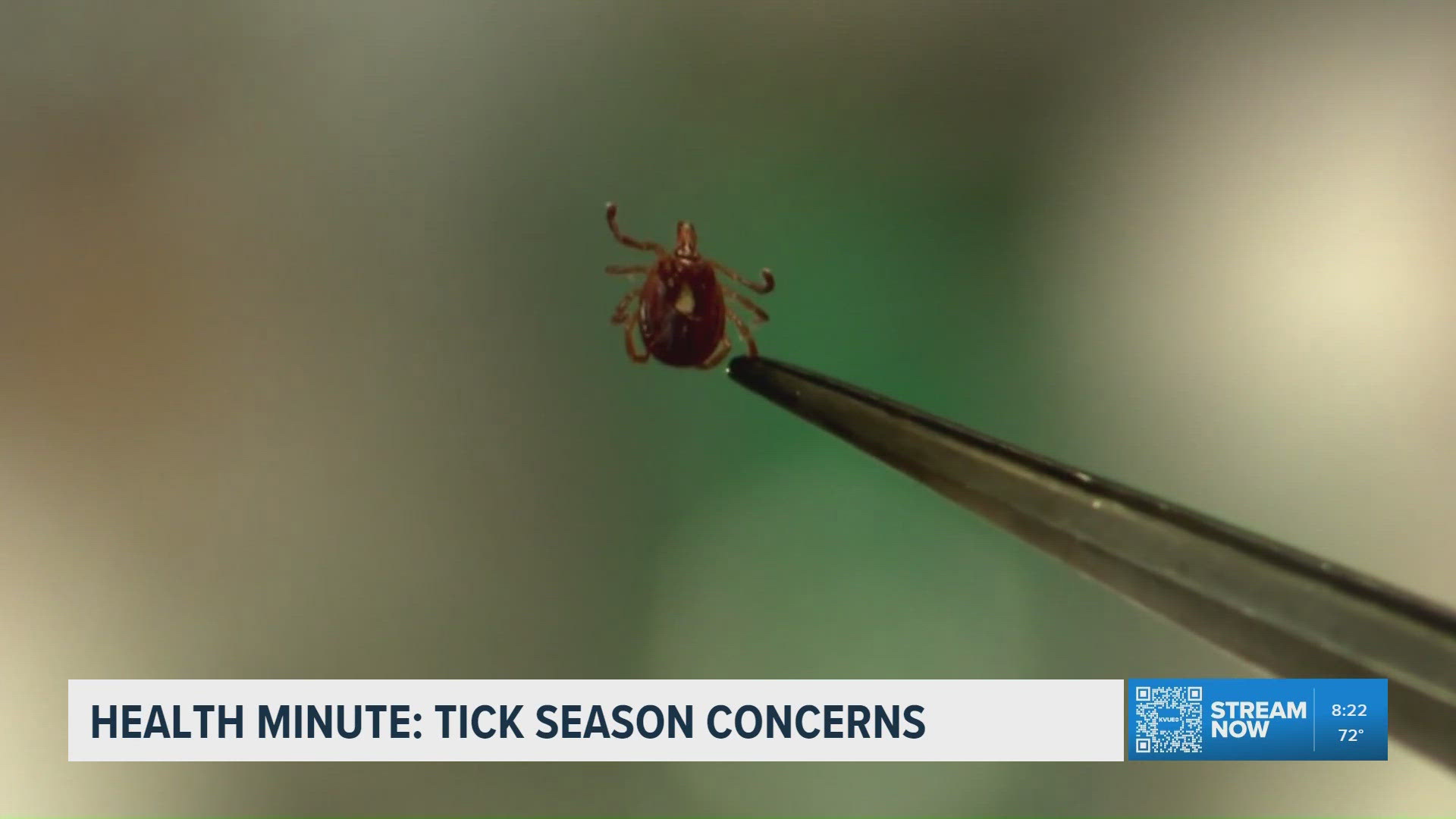 Experts warn of worsening tick season this year