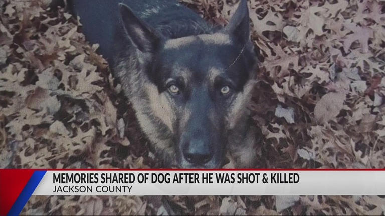 Woman speaks out after dog shot and killed