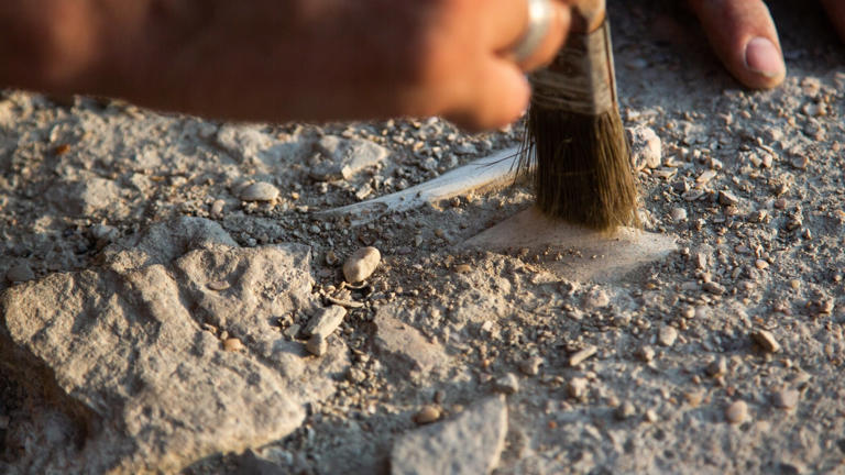 In France, this little-known archaeological site is older than the ...