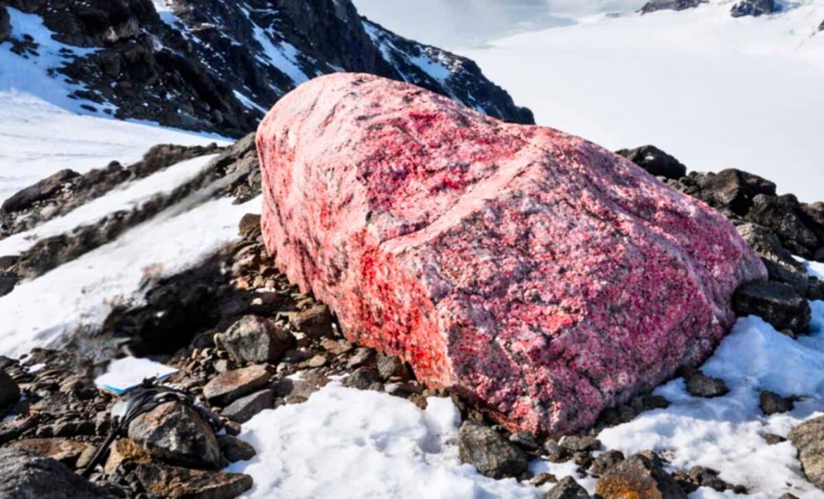 Pink rocks on a volcano led scientists to a hidden Jurassic giant ...