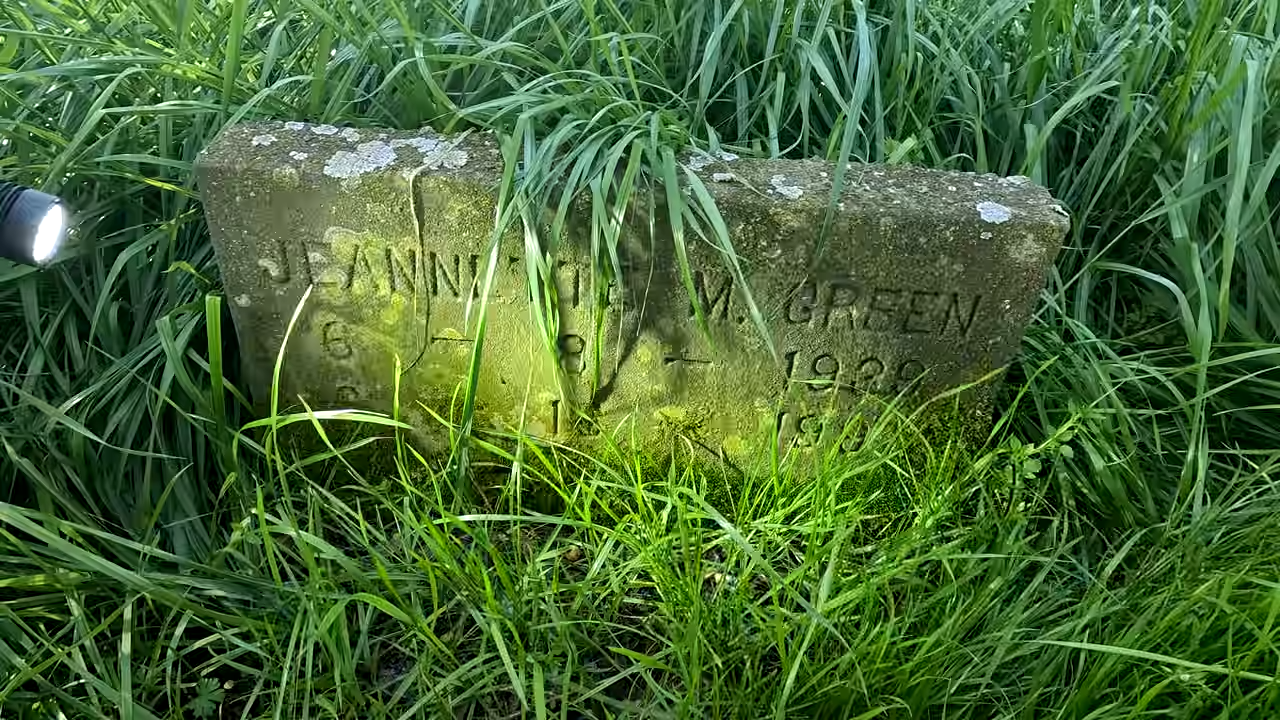 We were walking in the woods and almost fell into an open grave