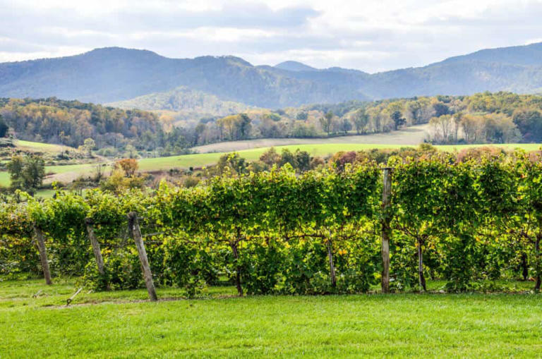 Discover history, hikes, and music on the Blue Ridge Parkway