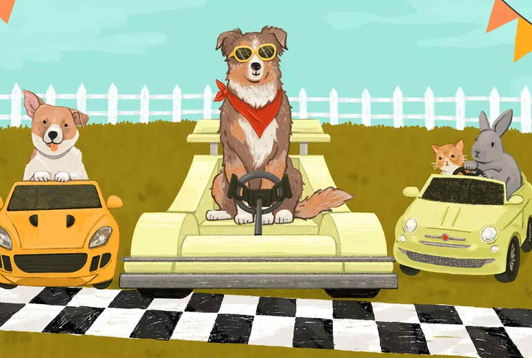 Are you ready to adopt? Here's what animal shelter employees say