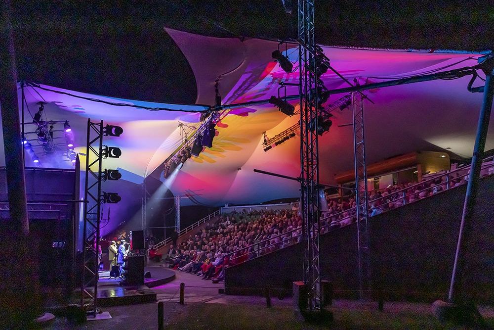 From Tina Turner and Taylor Swift to the Last Night of the Proms ...