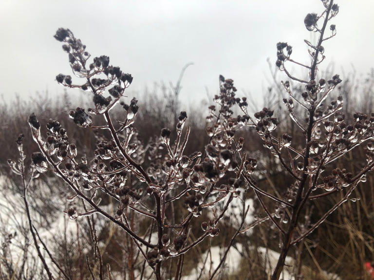 School cancellations and power outages as snow and ice hit Atlantic Canada