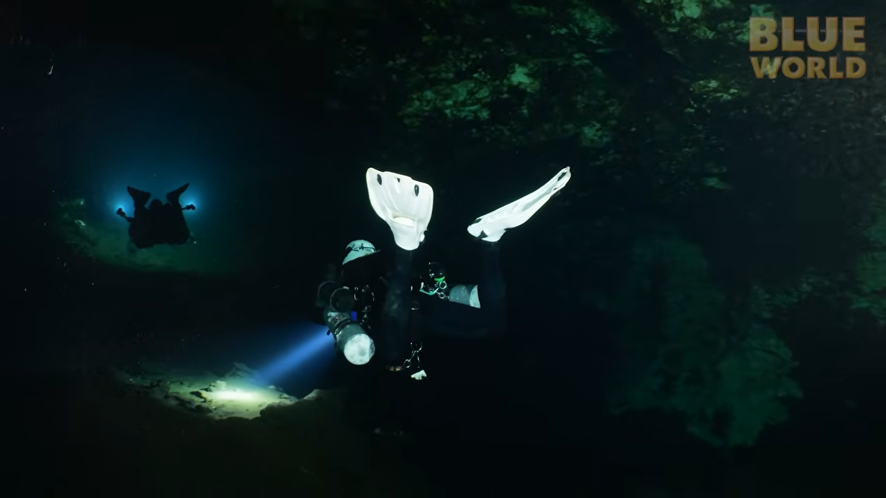 We entered a dark cave… then the floor vanished