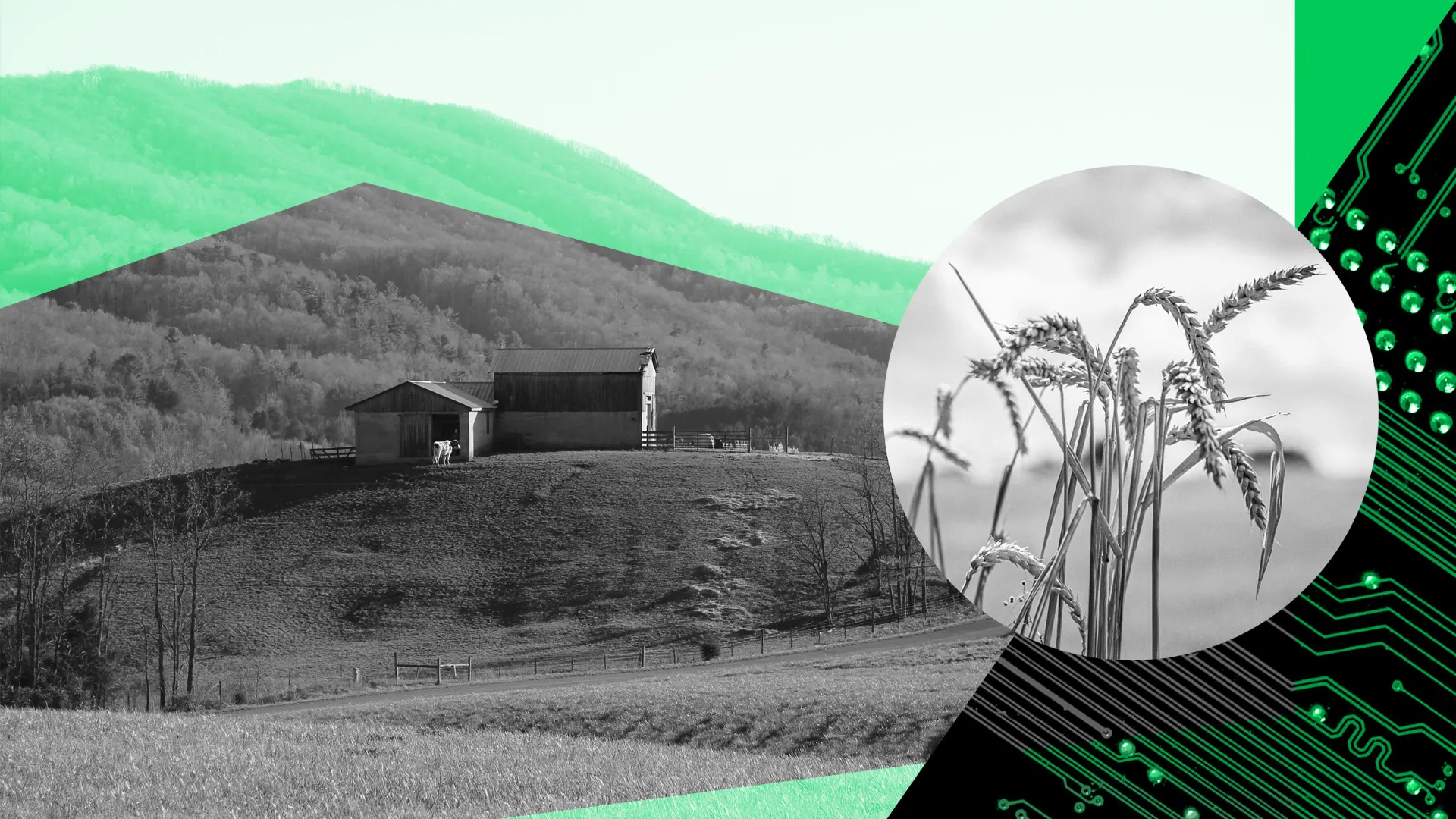 Food tech startups take root in the Mid-Atlantic